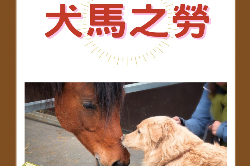 犬馬之勞