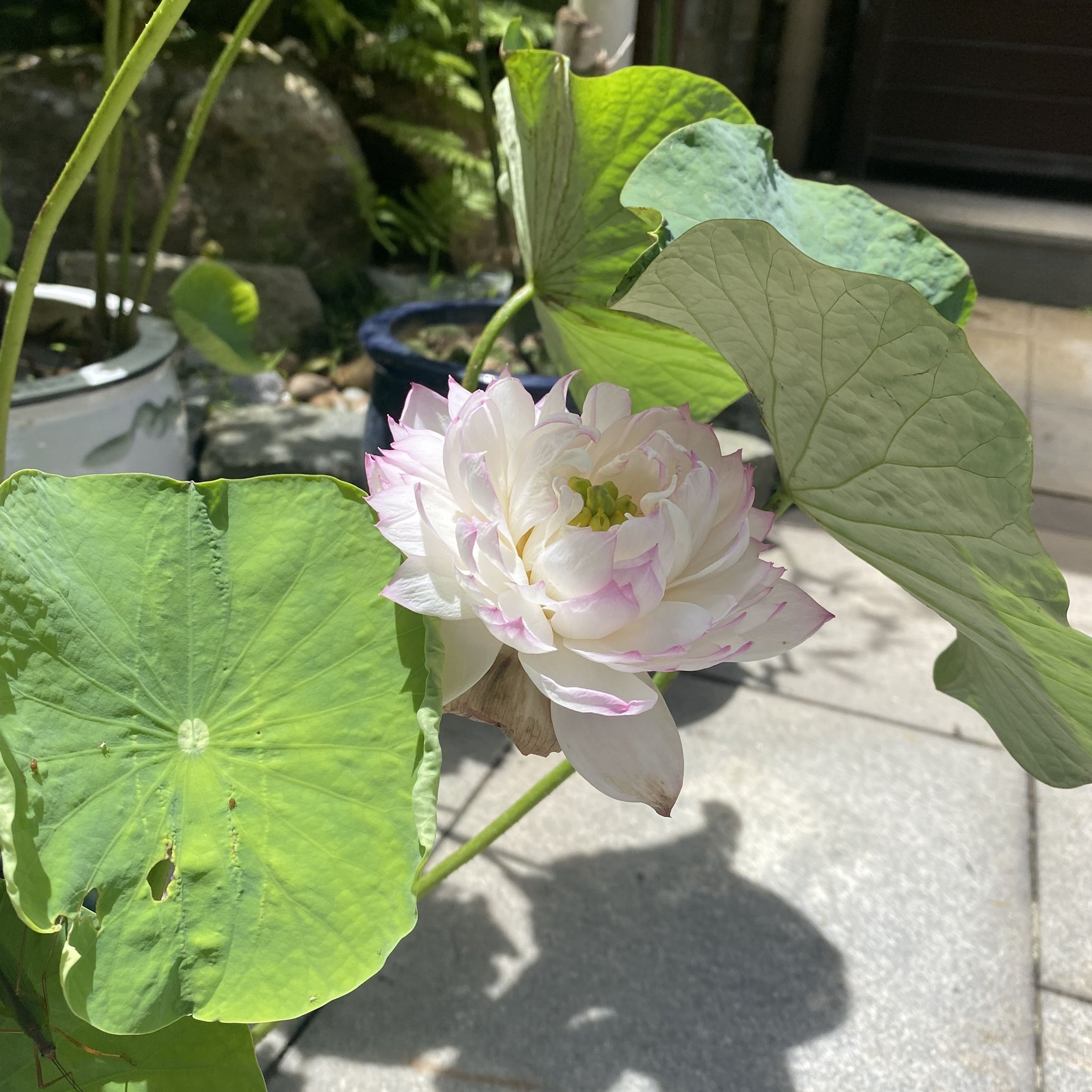門童