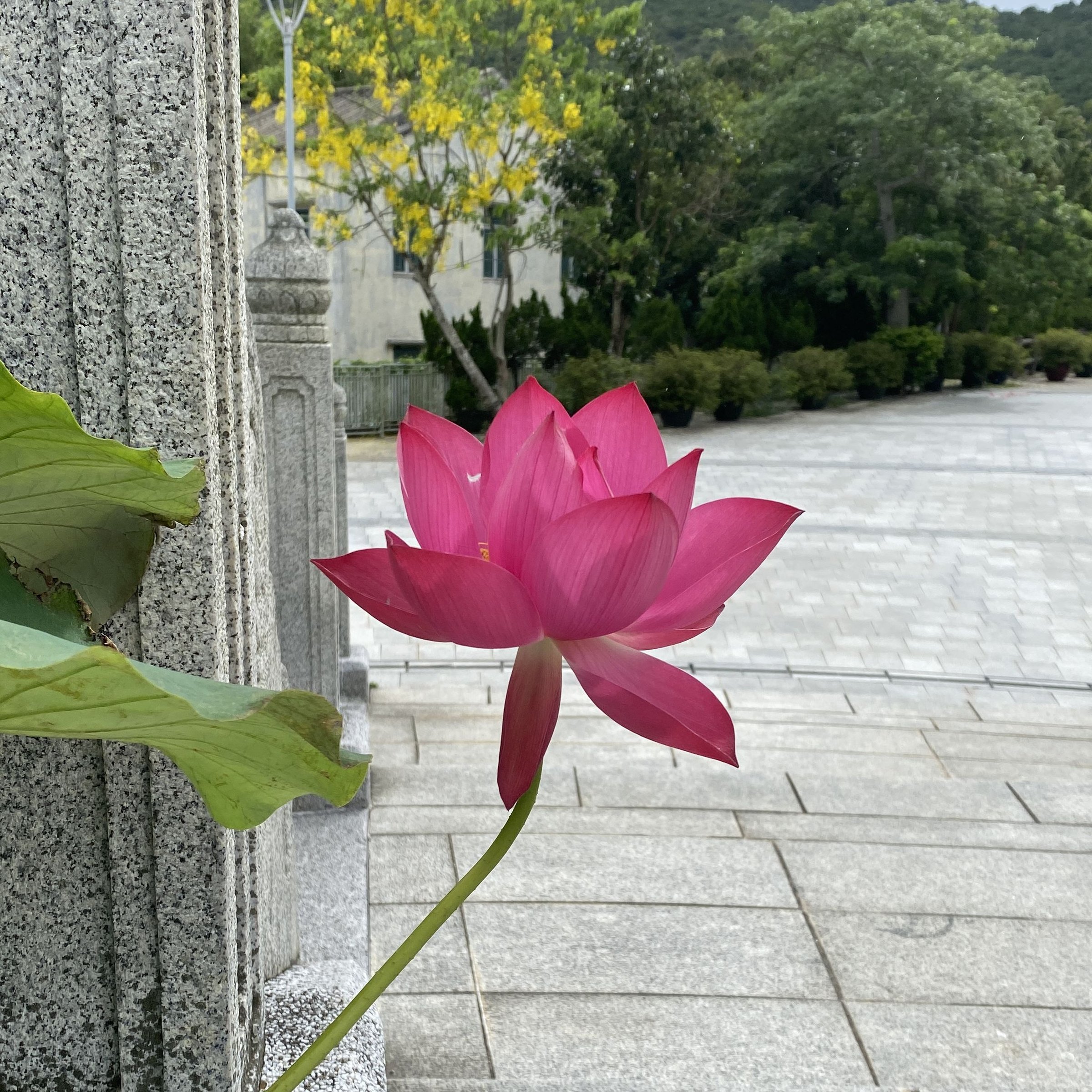 石庫紅門